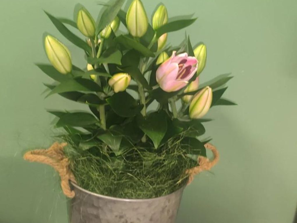 Negozio di fiori (3)